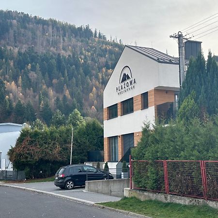 Plazowa Gray Apartament Щирк Екстериор снимка